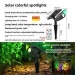 Foco Solar de Jardín con Piqueta para Exterior