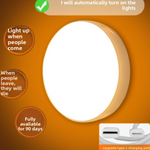 Luz Nocturna con Sensor de Movimiento Recargable